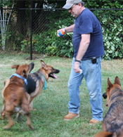 Jane Phillips and German Shepherd, Chevy