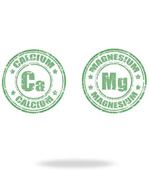 calcium-magnesium